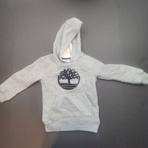 Timberland Gray Kids Hoodie with Tree Logo